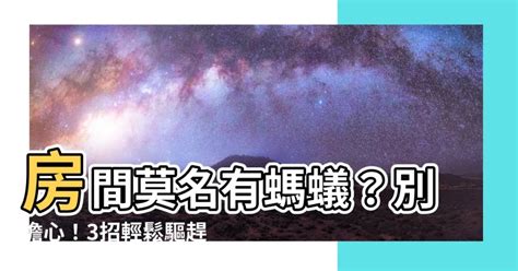 房間有螞蟻原因|家裡螞蟻很多怎麼辦？專家分享4招驅蟲妙方，不用殺。